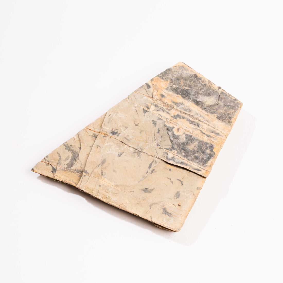 Slaty Shale Record - Earth Love Gallery Collection