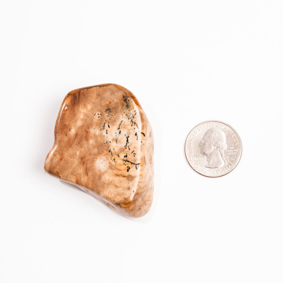 Biggs Jasper - Earth Love Gallery Collection