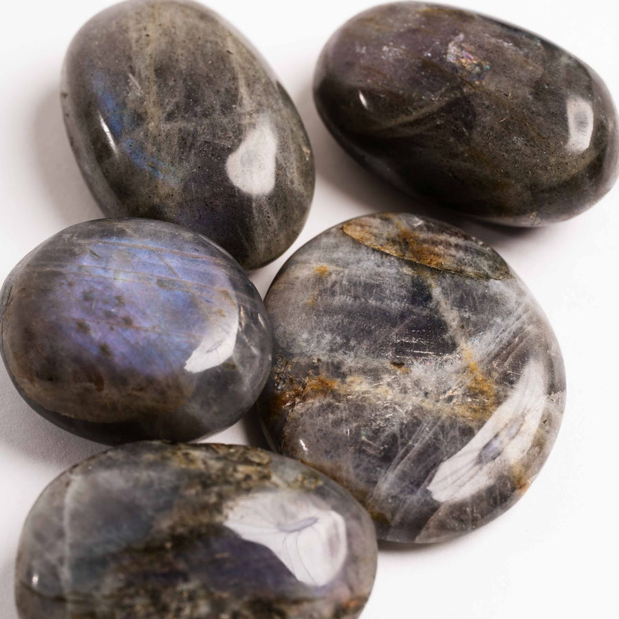 Labradorite, Blue/Purple Flash - Palms