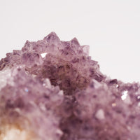 Spirit Quartz - Amethyst - Earth Love Gallery Collection