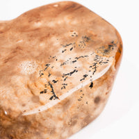 Biggs Jasper - Earth Love Gallery Collection