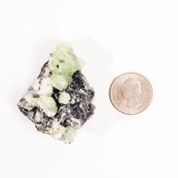 Prehnite w/ Black Quartz - Rough