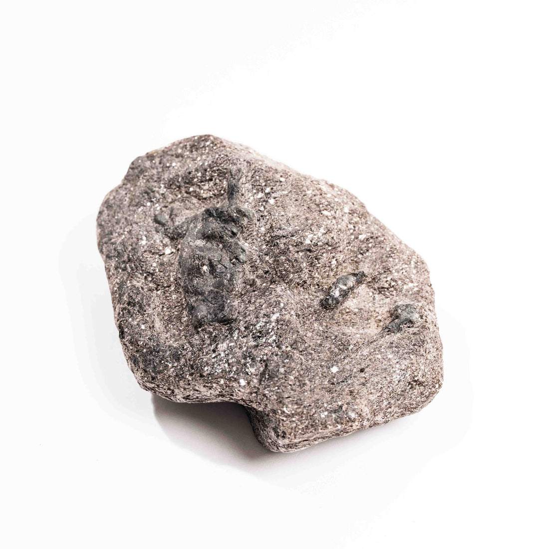 Alexandrite - Earth Love Gallery Collection