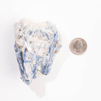 Kyanite, Blue- AA Grade Specimen