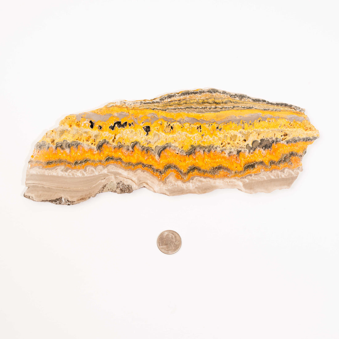 Bumble Bee Jasper - Slab, Large