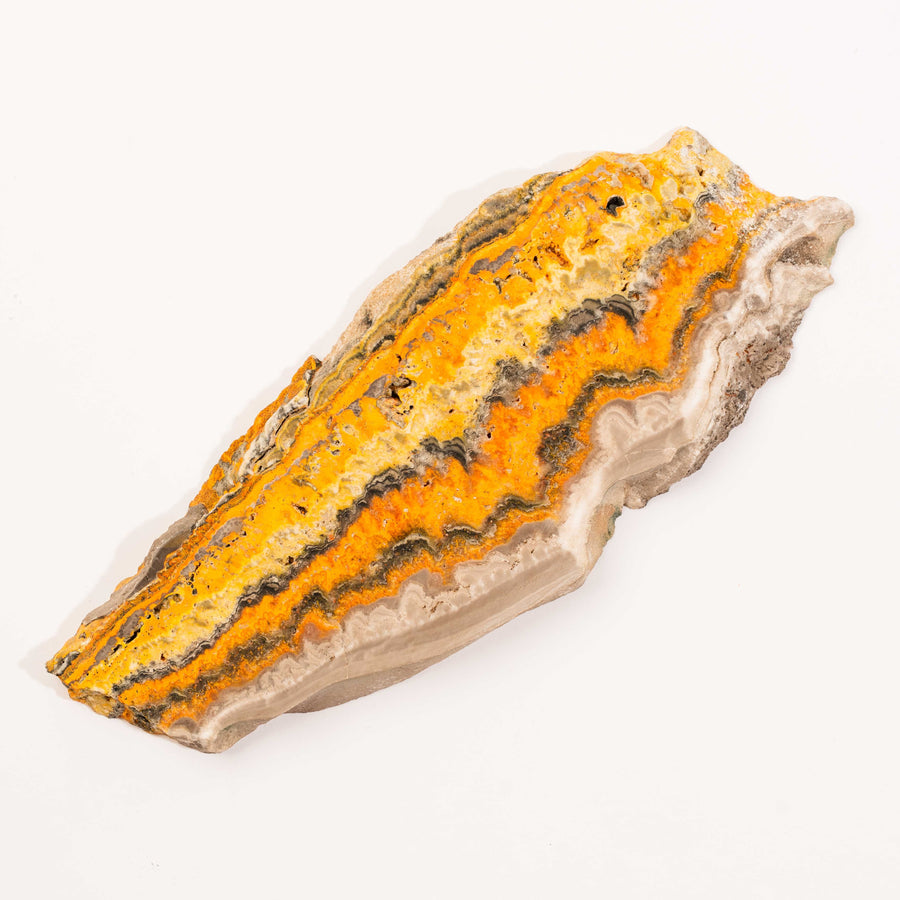 Bumble Bee Jasper - Slab, Large