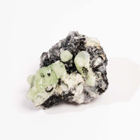 Prehnite w/ Black Quartz - Rough