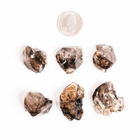 Smoky Elestial Quartz – Dark Multi-Faceted Cluster(s)