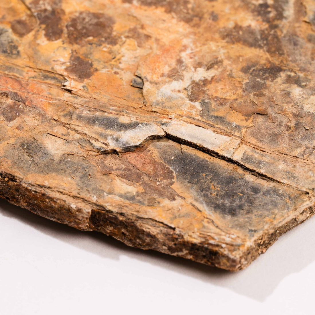 Slaty Shale Record - Earth Love Gallery Collection