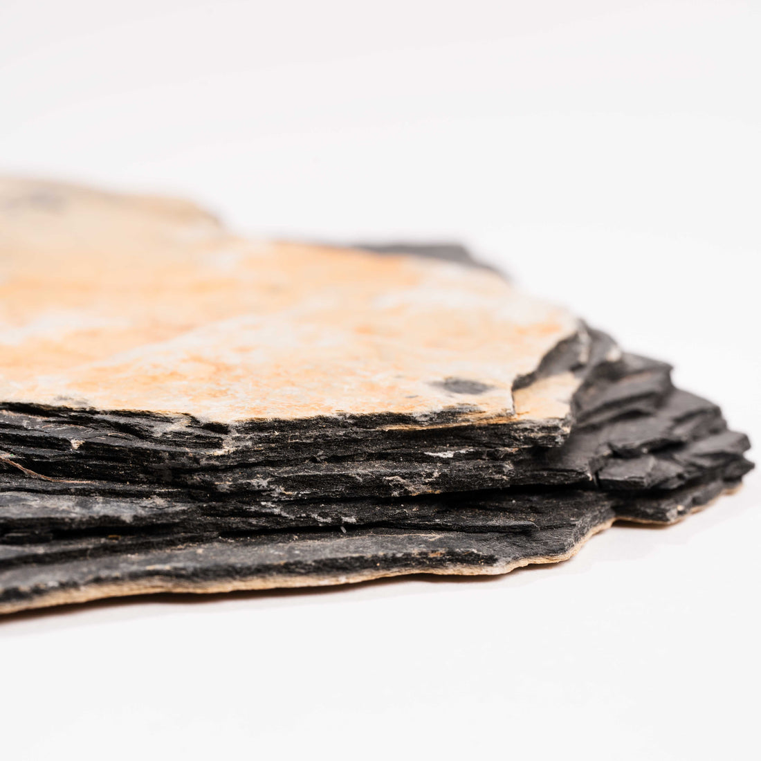 Slaty Shale Record - Earth Love Gallery Collection