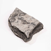 Slaty Shale Record - Earth Love Gallery Collection