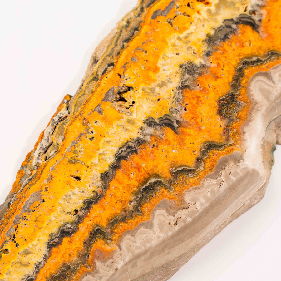 Bumble Bee Jasper - Slab, Large