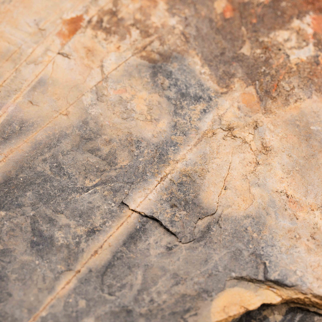 Slaty Shale Record - Earth Love Gallery Collection