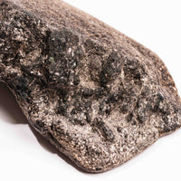 Alexandrite in Mica Schist - Earth Love Gallery Collection