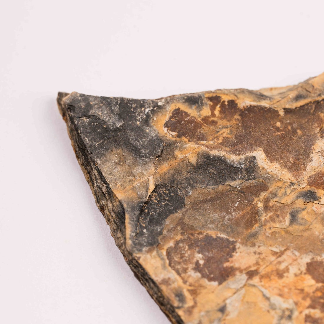 Slaty Shale Record - Earth Love Gallery Collection