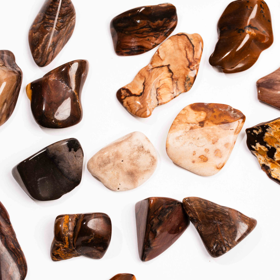 Biggs Jasper, Intuitive Picks - Earth Love Gallery Collection