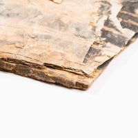 Slaty Shale Record - Earth Love Gallery Collection