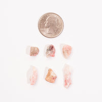 Tugtupite - Small, Rough, Intuitive Picks