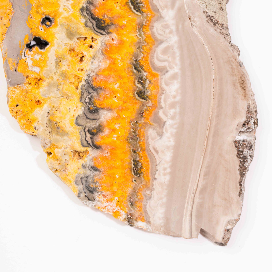 Bumble Bee Jasper - Slab, Large