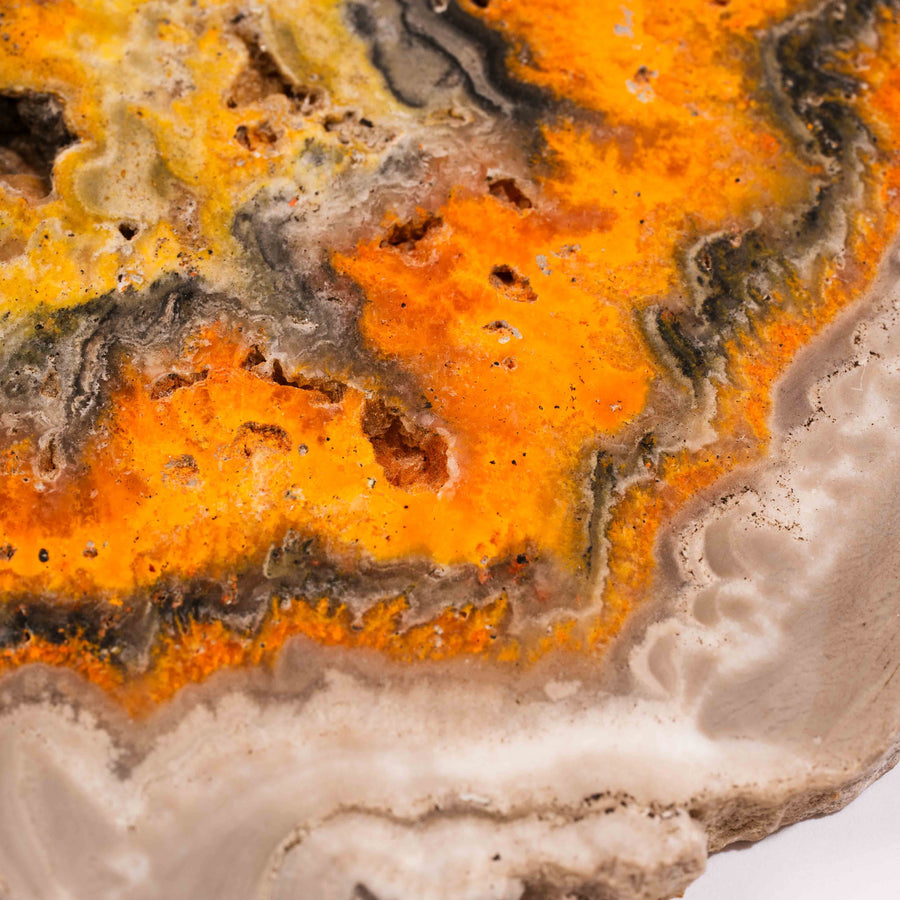 Jasper, Bumble Bee - Slab, Large