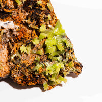 Pyromorphite - Large