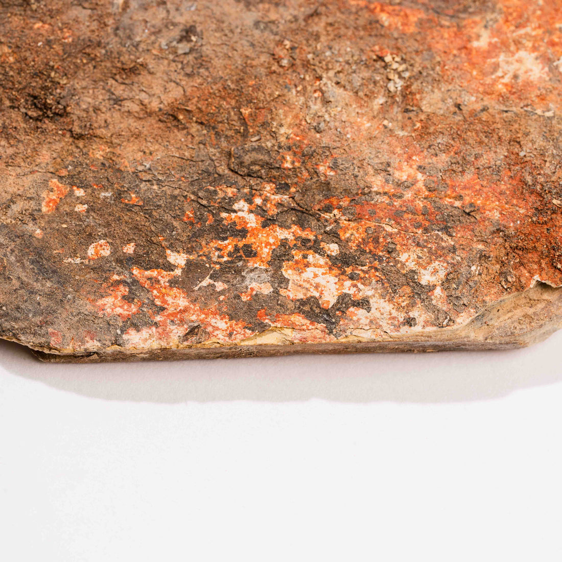 Slaty Shale Record - Earth Love Gallery Collection