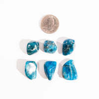 Apatite, Blue - Tumbled Stones