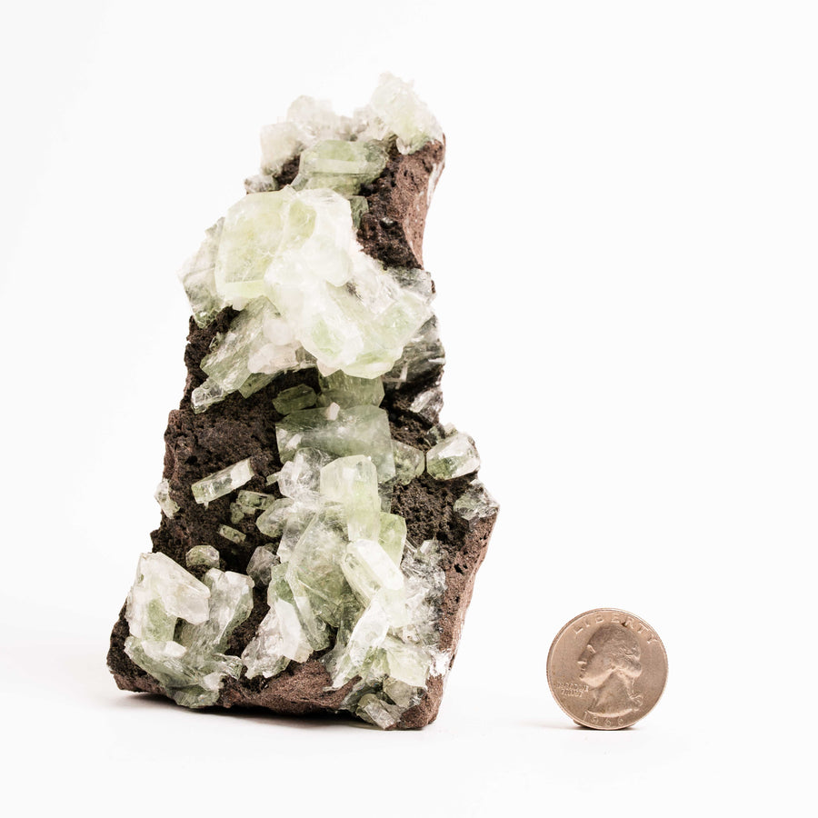 Apophyllite, Green - Cluster