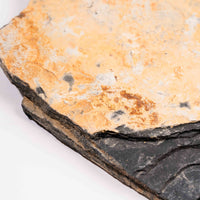 Slaty Shale Record - Earth Love Gallery Collection