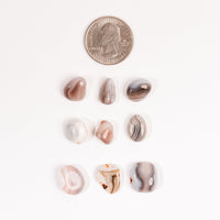 Agate - Botswana, Darker, Tumbled Stone(s)