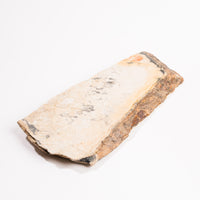 Slaty Shale Record - Earth Love Gallery Collection