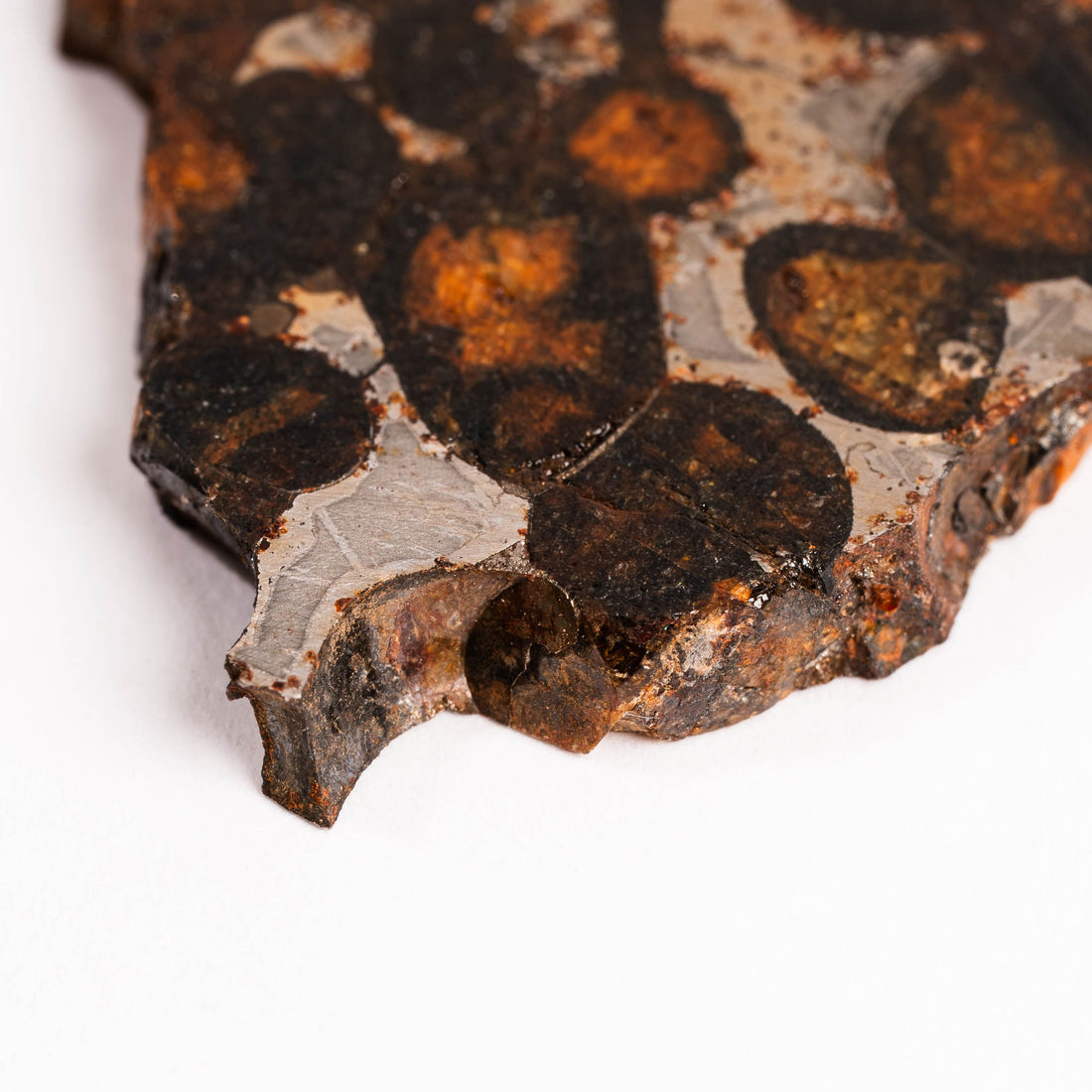 Sericho Pallasite Meteorite
