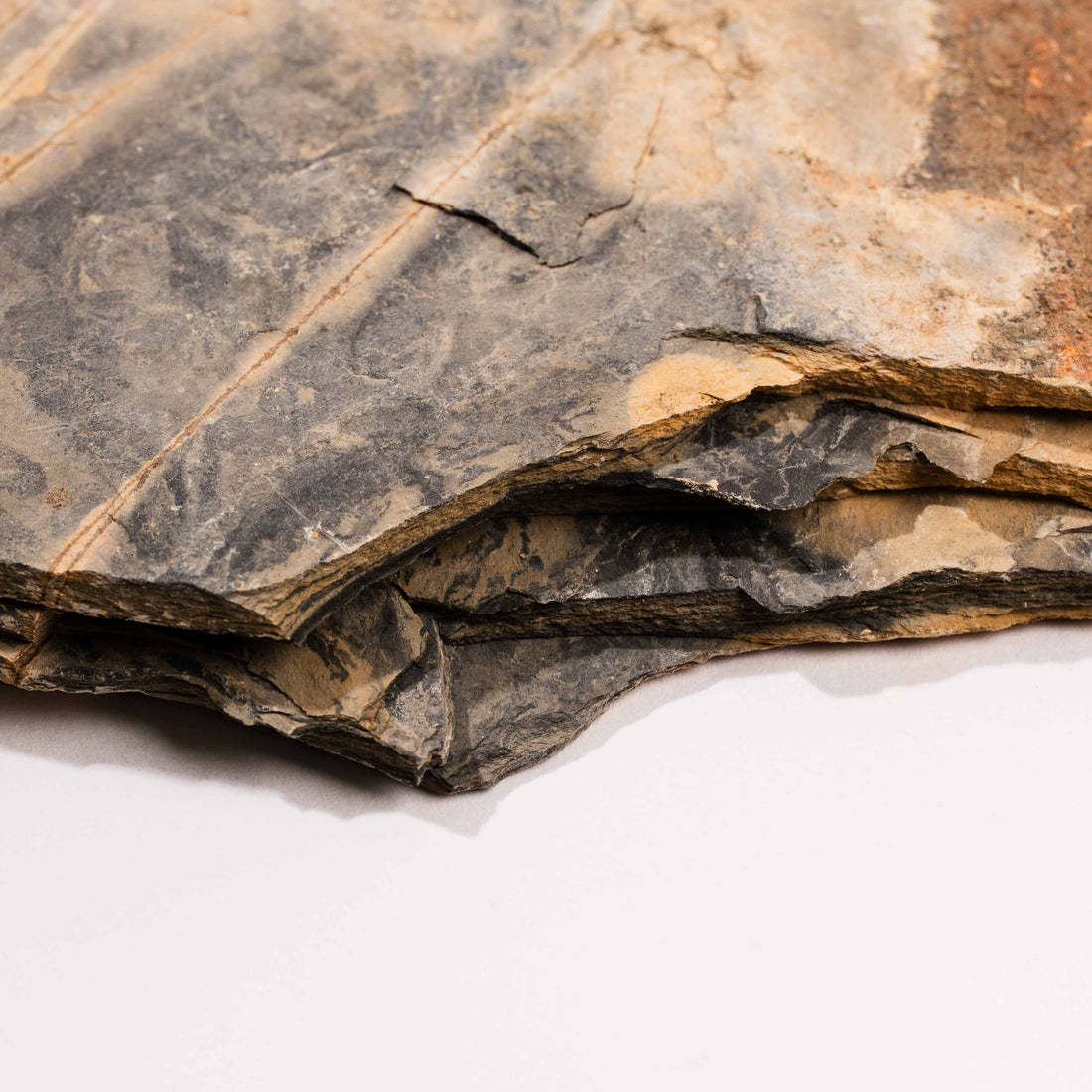 Slaty Shale Record - Earth Love Gallery Collection