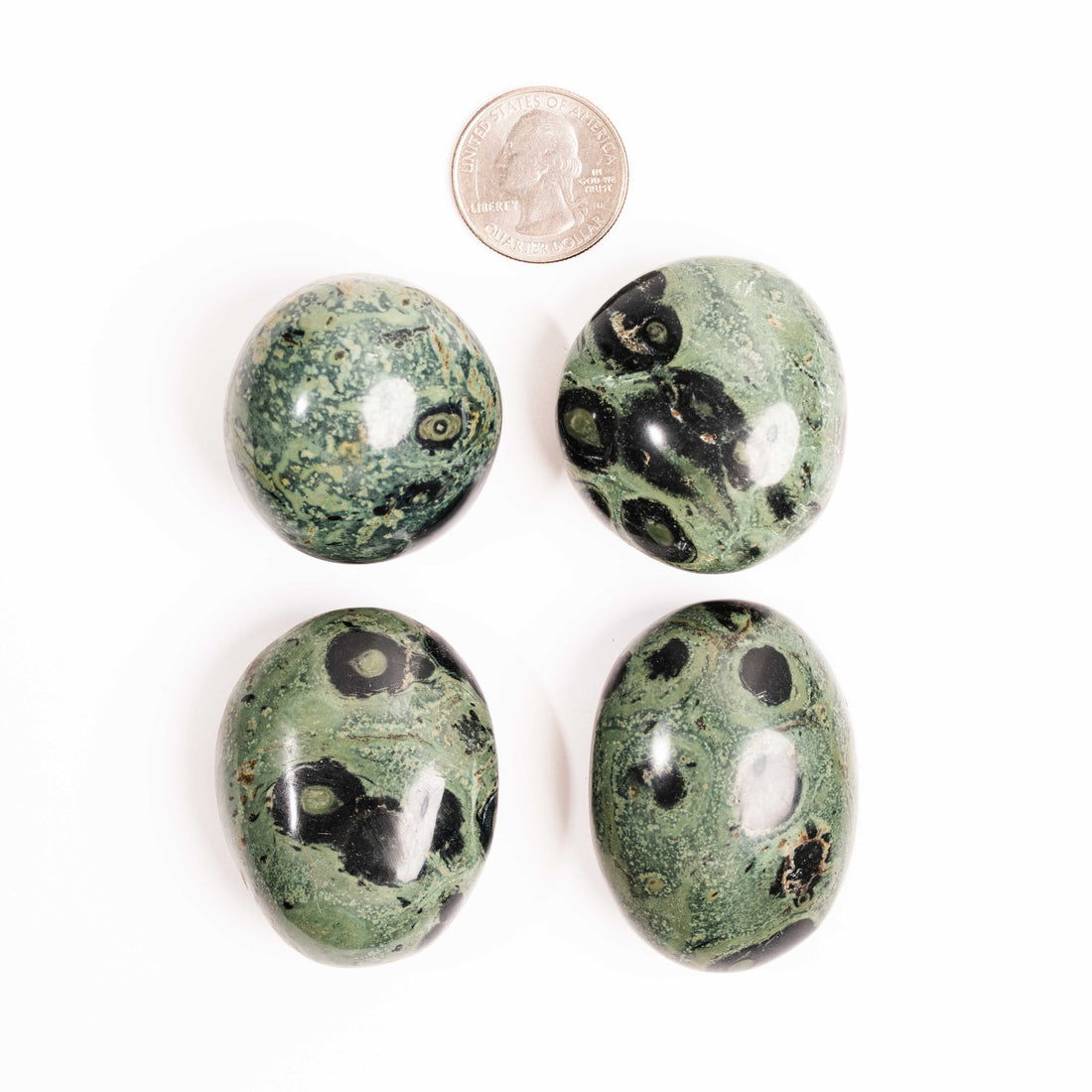 Jasper, Kambaba - Palm Stone(s)