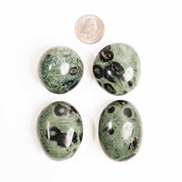 Jasper, Kambaba - Palm Stone(s)