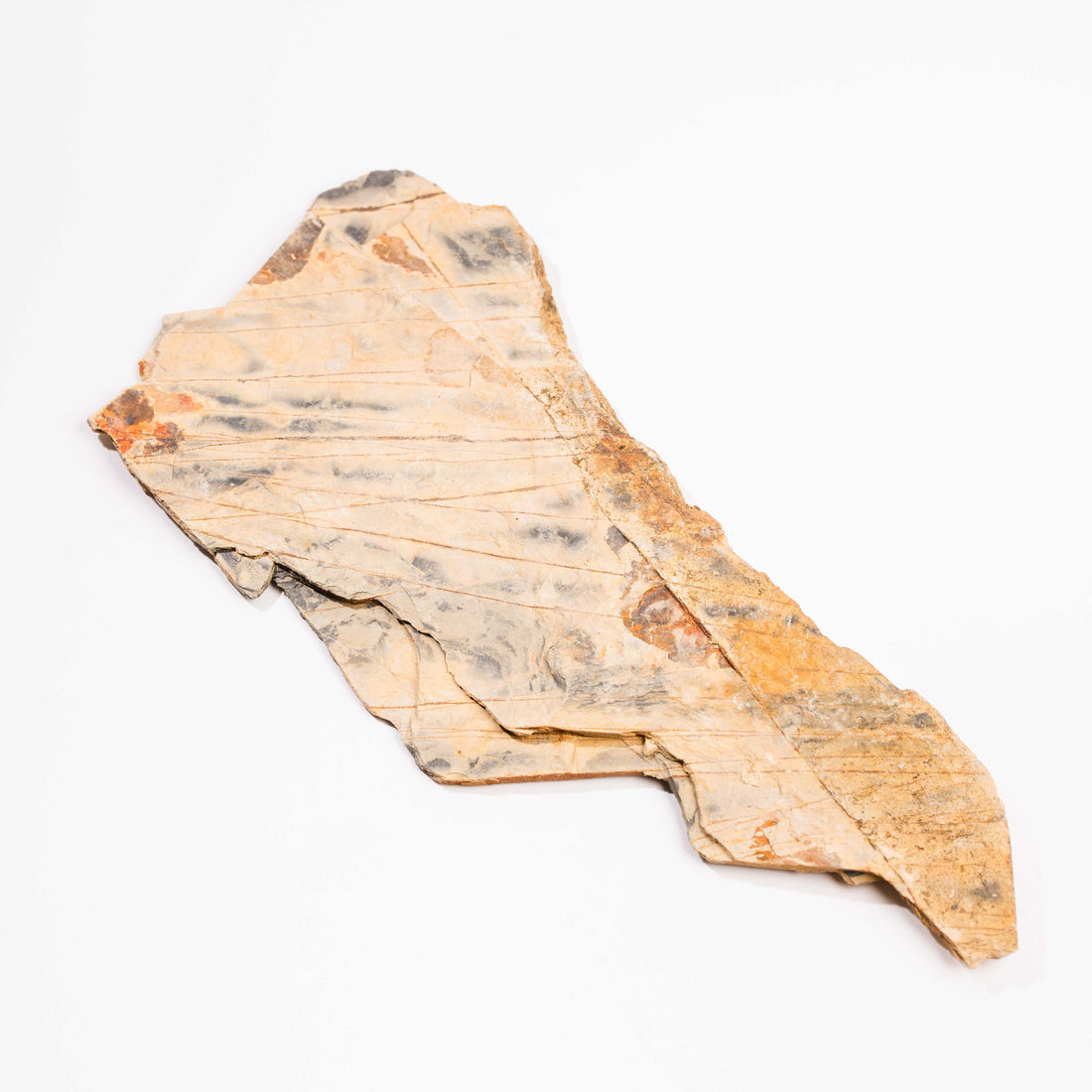 Slaty Shale Record - Earth Love Gallery Collection