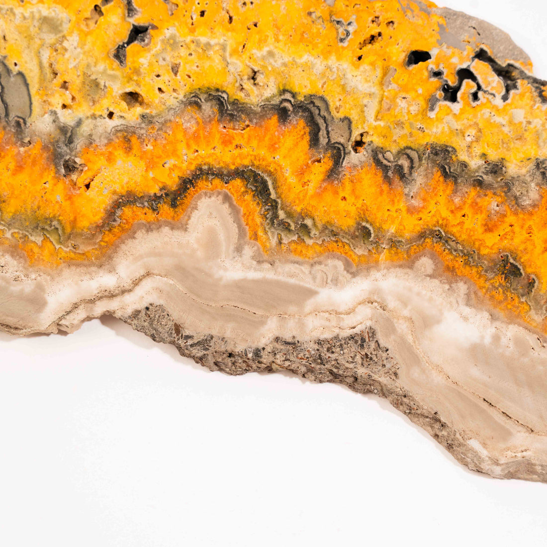 Jasper, Bumble Bee - Slab, Large