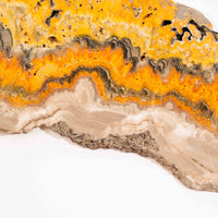 Jasper, Bumble Bee - Slab, Large