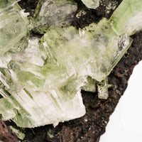 Apophyllite, Green - Cluster