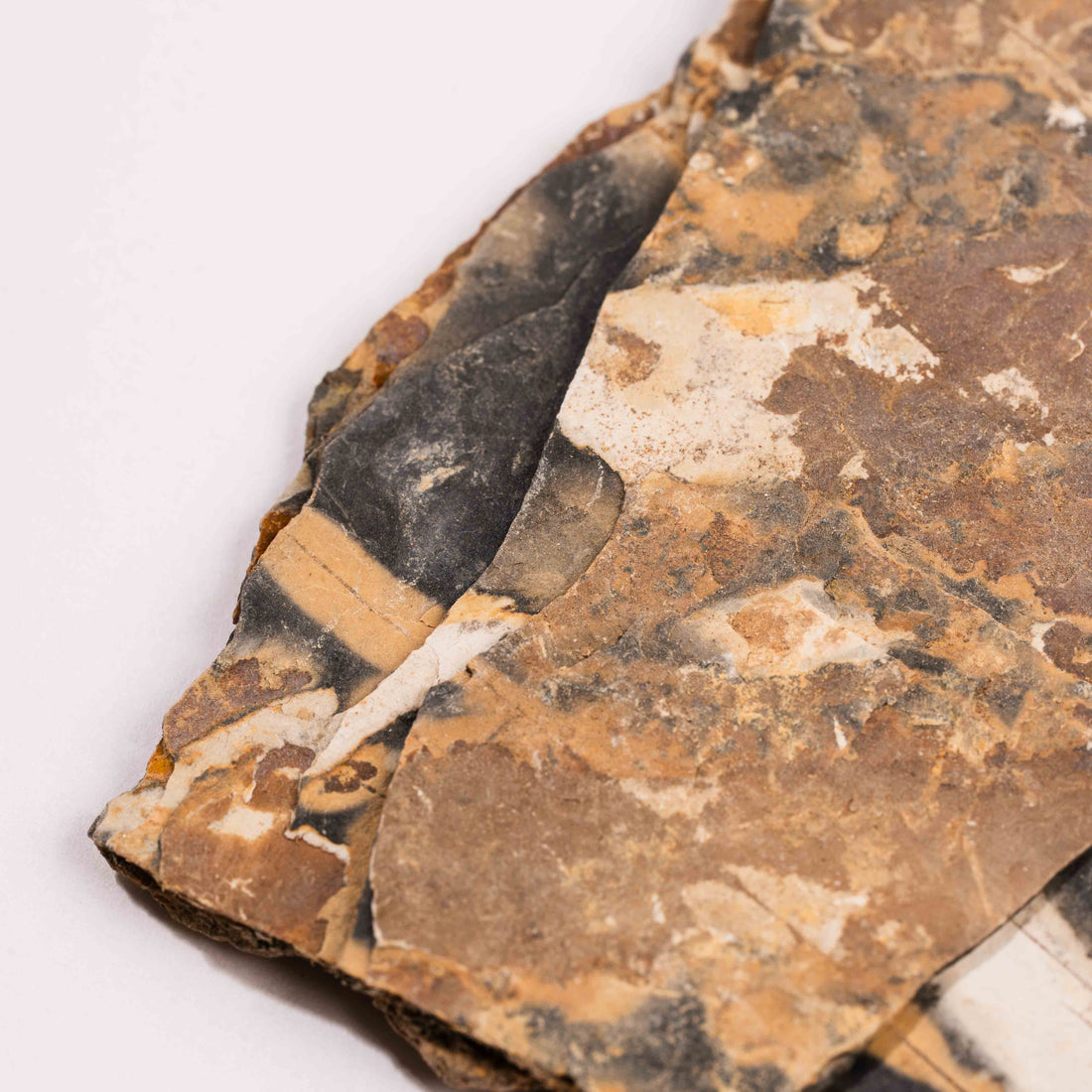 Slaty Shale Record - Earth Love Gallery Collection