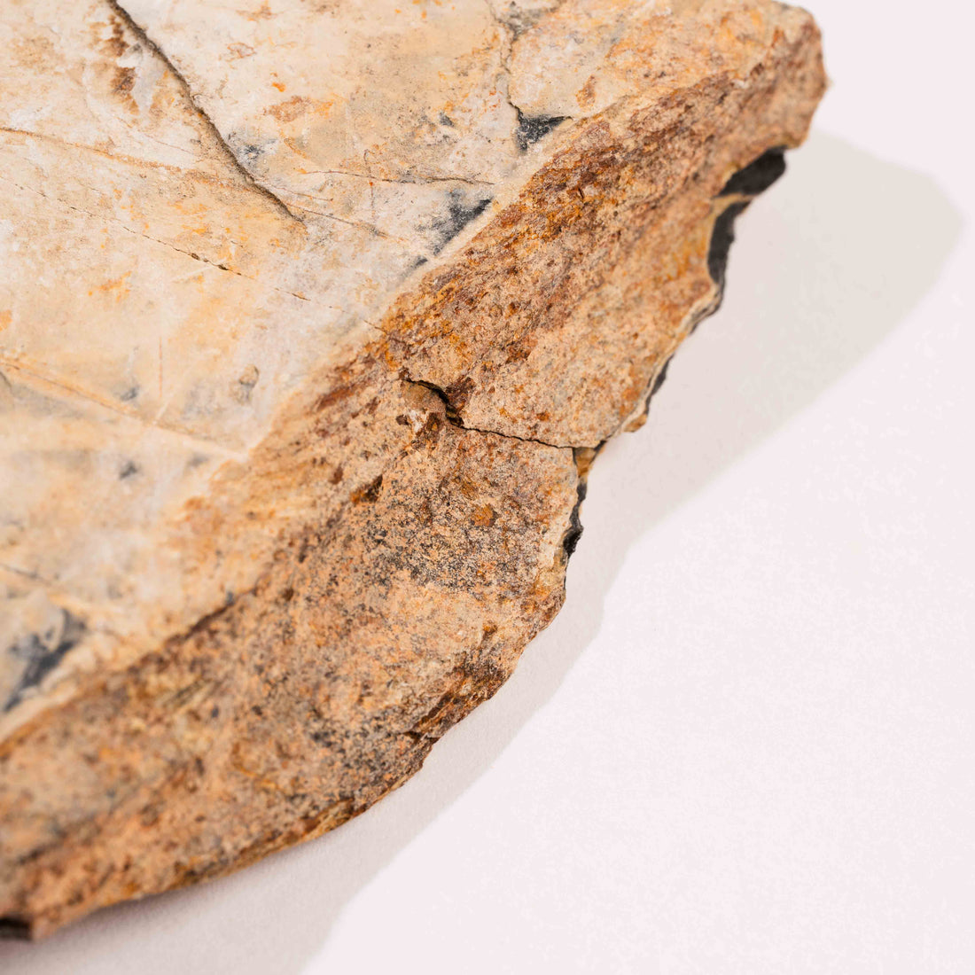 Slaty Shale Record - Earth Love Gallery Collection