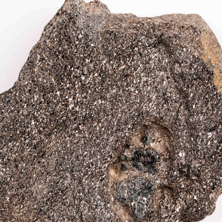 Alexandrite in Mica Schist - Earth Love Gallery Collection