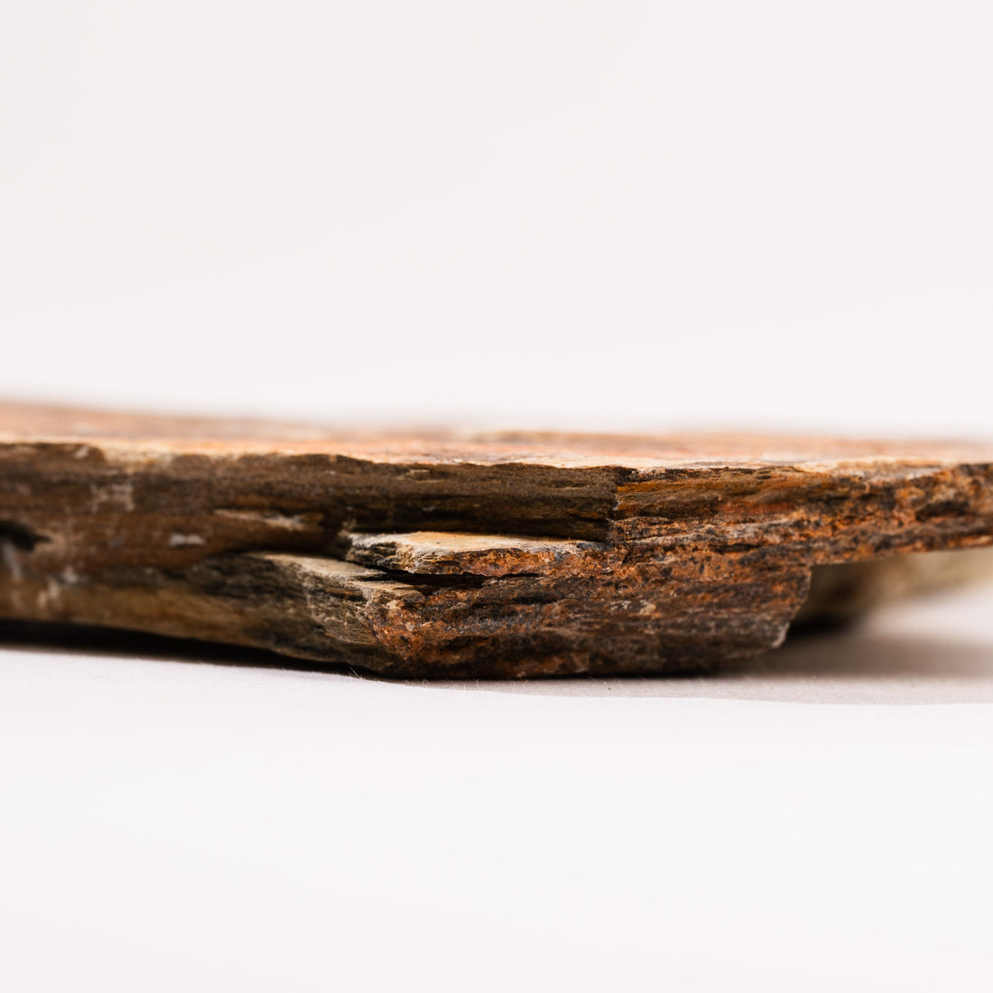 Slaty Shale Record - Earth Love Gallery Collection