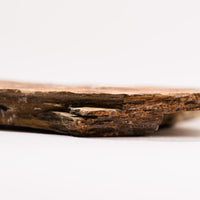 Slaty Shale Record - Earth Love Gallery Collection