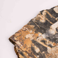 Slaty Shale Record - Earth Love Gallery Collection