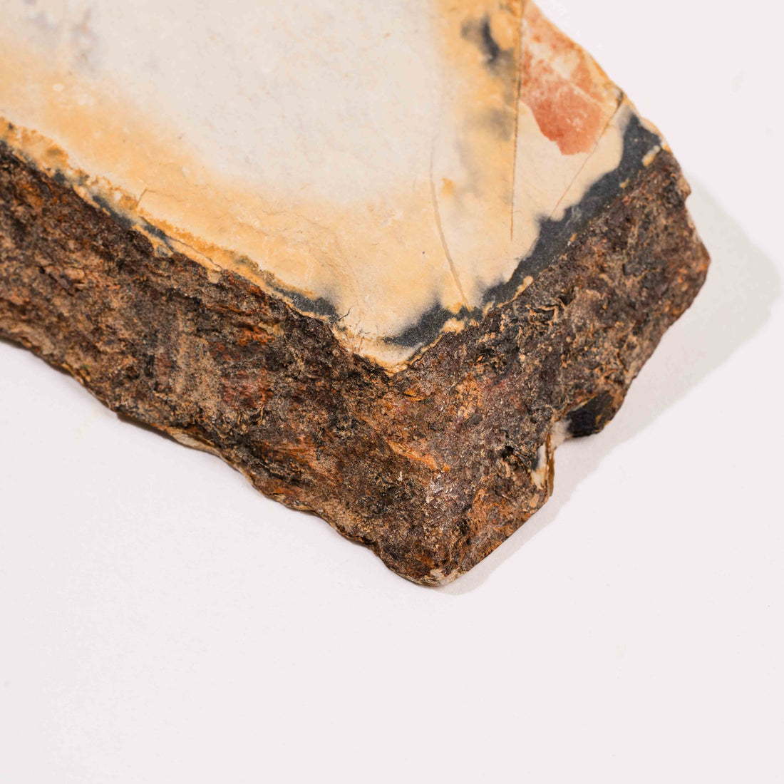 Slaty Shale Record - Earth Love Gallery Collection