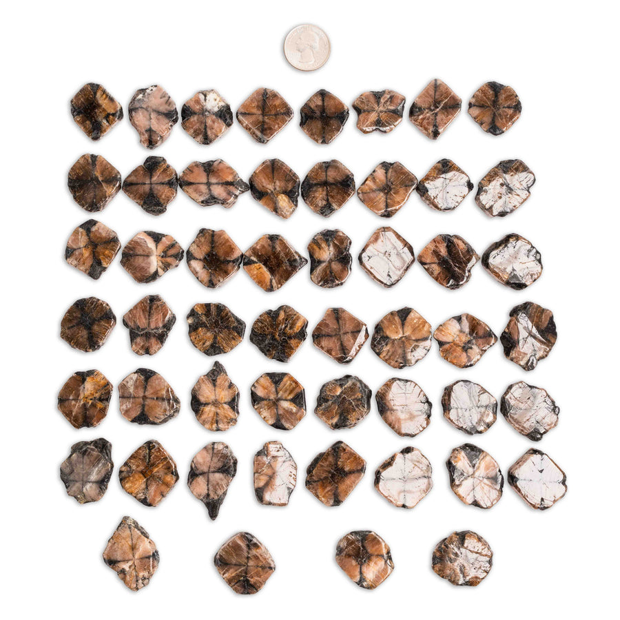 Chiastolite (Andalusite Cross)