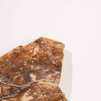 Slaty Shale Record - Earth Love Gallery Collection