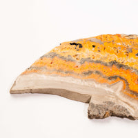 Jasper, Bumble Bee - Slab, Large