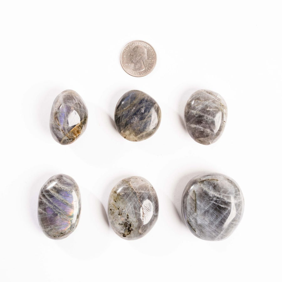Labradorite, Blue/Purple Flash - Palms